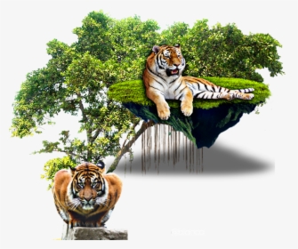 #pic #tiger #picsart #picsartphoto #picsarteffects - Tropical Rainforest Trees Png, Transparent Png, Transparent PNG