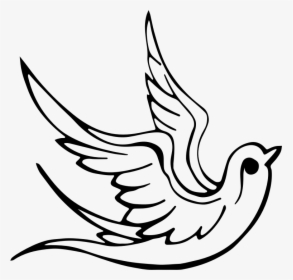 Dove Symbols Of Pentecost, HD Png Download, Transparent PNG