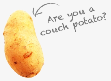 Are You A Couch Potato - Russet Burbank Potato, HD Png Download, Transparent PNG