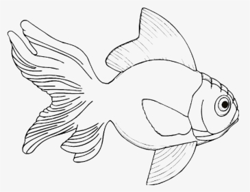 Outline Wrinkle-headed Gold Fish Tattoo Design - Line Drawings Of Fish, HD Png Download, Transparent PNG