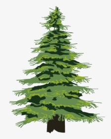 Cedar Tree Transparent Png - Transparent Pine Tree Clipart, Png Download, Transparent PNG