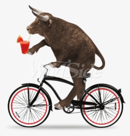 Clipart Bike Beach Cruiser - Bull Riding A Bicycle, HD Png Download, Transparent PNG
