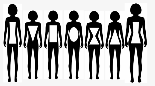 Body Types-02 - Silhouette, HD Png Download, Transparent PNG
