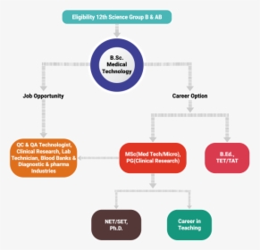 Diagram, HD Png Download, Transparent PNG