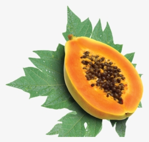 पपीता Papaya Fruit - Papaya Png, Transparent Png, Transparent PNG