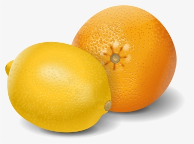 Meyer Lemon,mandarin Orange,vegetarian Food - Oranges And Lemons Png, Transparent Png, Transparent PNG