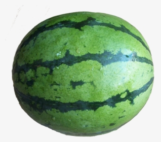 Water Lemon Full - Whole Watermelon Fruit Transparent, HD Png Download, Transparent PNG