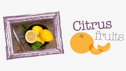Citrus-fruit - Sweet Lemon, HD Png Download, Transparent PNG