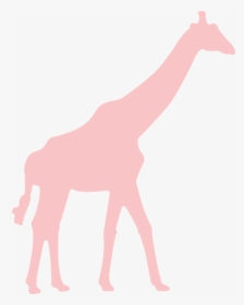 Giraffe Svg Cut File - Giraffe Svg, HD Png Download, Transparent PNG