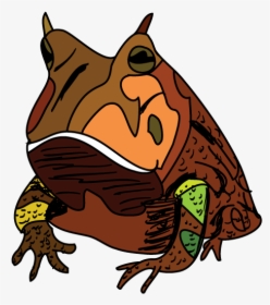 Drawing Amazon Horned Frog, HD Png Download, Transparent PNG