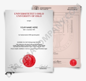 Fake Norway College Degree With Marksheets - University Of Oslo Certificate, HD Png Download, Transparent PNG