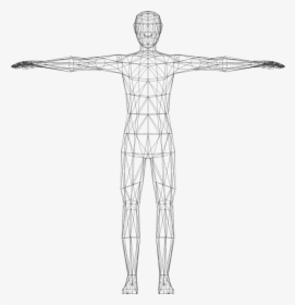 Art,skeleton,back - Transparent Human Body Clipart, HD Png Download, Transparent PNG