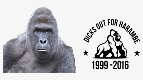 [filter] Dicks Out For Harambe - Dicks Out For Harambe Flag, HD Png Download, Transparent PNG