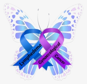 Picture - Butterfly, HD Png Download, Transparent PNG