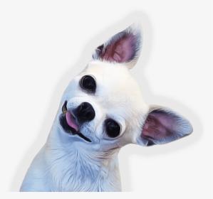 Download Side Png Images - Png Chihuahua, Transparent Png, Transparent PNG