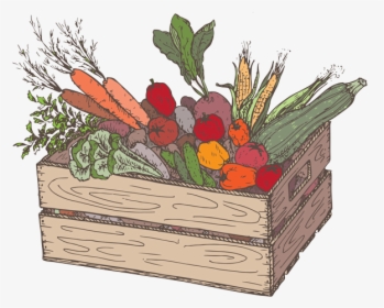 Fruit & Vegetable Box Sketch, HD Png Download, Transparent PNG
