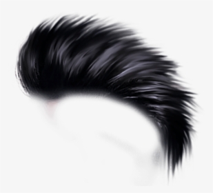 Free Png Download Hair Style Hd Png Images Background - Hair Style For Editing, Transparent Png, Transparent PNG