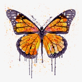 Transparent Orange Watercolor Png - Monarch Butterfly Canvas Paintings, Png Download, Transparent PNG