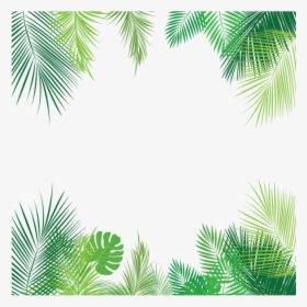 Palm Hojas Tropicales Verde - Overlay Tropical Png, Transparent Png, Transparent PNG