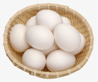Chicken Egg No Egg White - Egg Png, Transparent Png, Transparent PNG