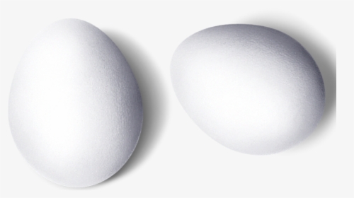 White Eggs Png Download - Circle, Transparent Png, Transparent PNG