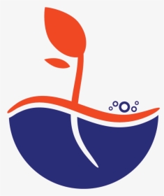 Graphic Design, HD Png Download, Transparent PNG