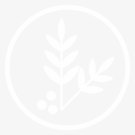 Circle, HD Png Download, Transparent PNG