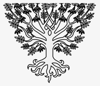 Port Drawing Tree - Ash Tree Heraldry, HD Png Download, Transparent PNG
