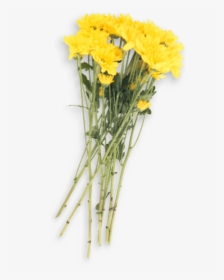 Bouquet, HD Png Download, Transparent PNG