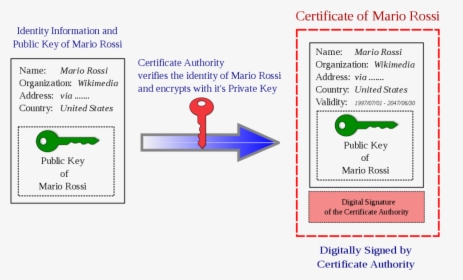 What Is A Certificate Authority - Public Key Certificate, HD Png Download, Transparent PNG