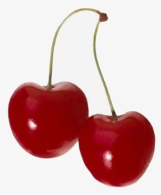 #cherry #fruit #edit #png #soft #yum #love #red  #freetoedit - Niche Meme Png Cherry, Transparent Png, Transparent PNG
