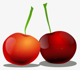 Transparent Cherry Clipart - Cherry, HD Png Download, Transparent PNG