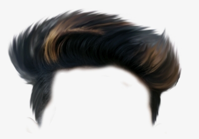 Holi Hair Png - Png New Background, Transparent Png , Transparent Png ...