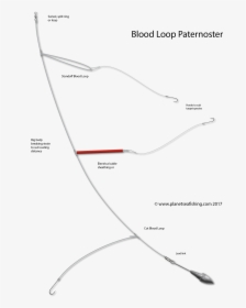 Blood Loop Paternoster - Tie A Paternoster Rig, HD Png Download, Transparent PNG