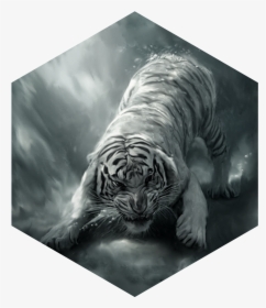 Painting White Tiger Angry - Siberian Tiger In Water, HD Png Download, Transparent PNG