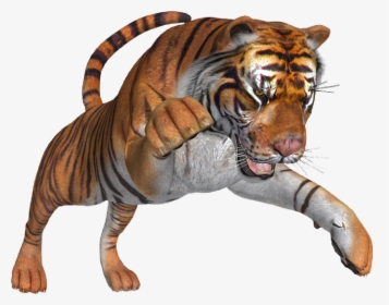 #freetoedit #creative #animal #tiger #angry @taylor - Siberian Tiger, HD Png Download, Transparent PNG