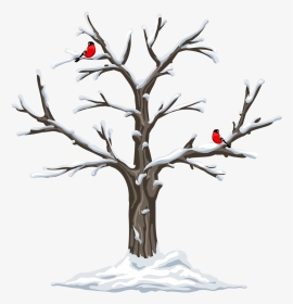 Garden Clipart, Weather Seasons, Clip Art, Christmas - Cardinal In Tree Clipart, HD Png Download, Transparent PNG