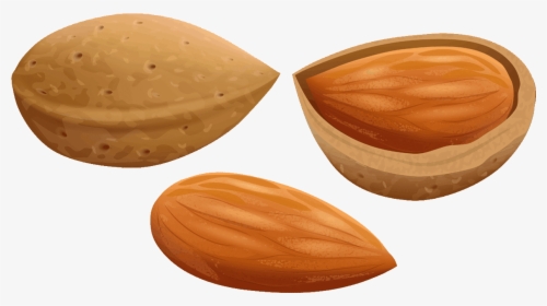 Almond Free To - Almonds Clipart, HD Png Download, Transparent PNG
