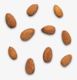Real Food, Real Fuel - Almond, HD Png Download, Transparent PNG