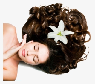 Beautiful Healthy Hair, HD Png Download, Transparent PNG