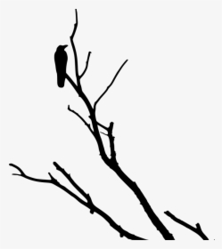 Crow, Raven, Silhouette, Tree - Crow In Tree Silhouette, HD Png Download, Transparent PNG