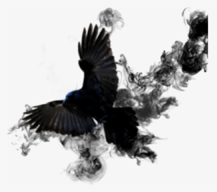 #crow #sticker #smoke #bird #black #wings #feathed - American Crow, HD Png Download, Transparent PNG