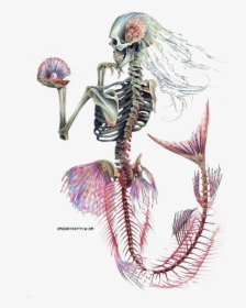 Tattoo Designs, Tattoo Ideas, Mermaid Skeleton, Skeleton - Skeleton Mermaid, HD Png Download, Transparent PNG