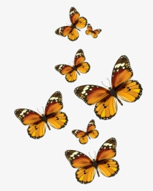 Butterflies Vector Png Clipart Pictureu200b Gallery - Painted Lady Butterfly Clip Art, Transparent Png, Transparent PNG