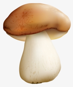 Clip Art Mushroom Png - Clipart Mushroom Png, Transparent Png, Transparent PNG