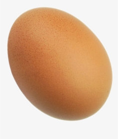 Big Bird Egg Png Download - Bird Egg Png, Transparent Png, Transparent PNG