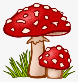 Free Cliparts Mushroom - Mushroom Clipart, HD Png Download, Transparent PNG