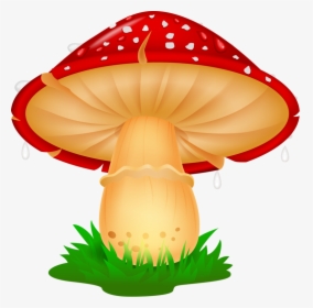 Png Pinterest Clip - Mushroom Clipart Png, Transparent Png, Transparent PNG