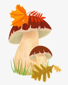 Fall Png Picture Gallery - Autumn Mushrooms Clipart, Transparent Png, Transparent PNG