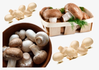 Mushroom Food Hd, HD Png Download, Transparent PNG